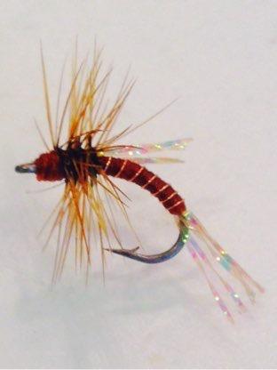 Furnace Hackle Thorax: tying thread and the black of the furnace hackle Head: tying thread This fly was a life saver during a hatch at Bennet Springs.