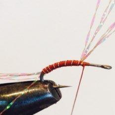 You want to give just a small taste of sparkle without weighing the fly down. Measure the furnace hackle as a dry fly just past the hook point.