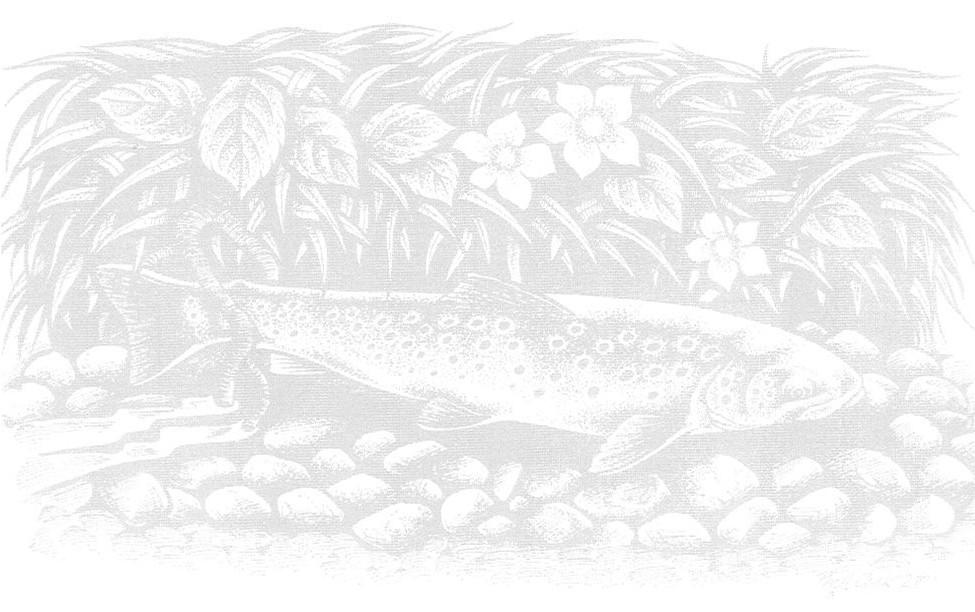 Our Mission We are a charity dedicated to: The conservation of wild trout