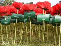 I would therefore ask that on 25th April, that you think not of how many sausages we can sell at Bunnings, but of the sacrifice made by so many of our fellow Australians and New Zealanders, in all