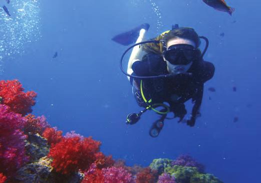 SCUBA DIVER JUNIOR SCUBA DIVER Express Entry Level Certification Course 2 Days - 2 Dives Thinking of getting certified for an upcoming vacation, but don't have the time to put into a regular diver