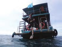 The Open Water Diver Course is for the beginner or non-certified diver and will give you all