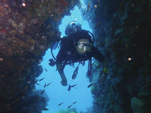 PADI Adventures in Diving Program Extend your scuba diving skills and knowledge with the Adventure Diver or the Advanced Open Water Diver Courses.