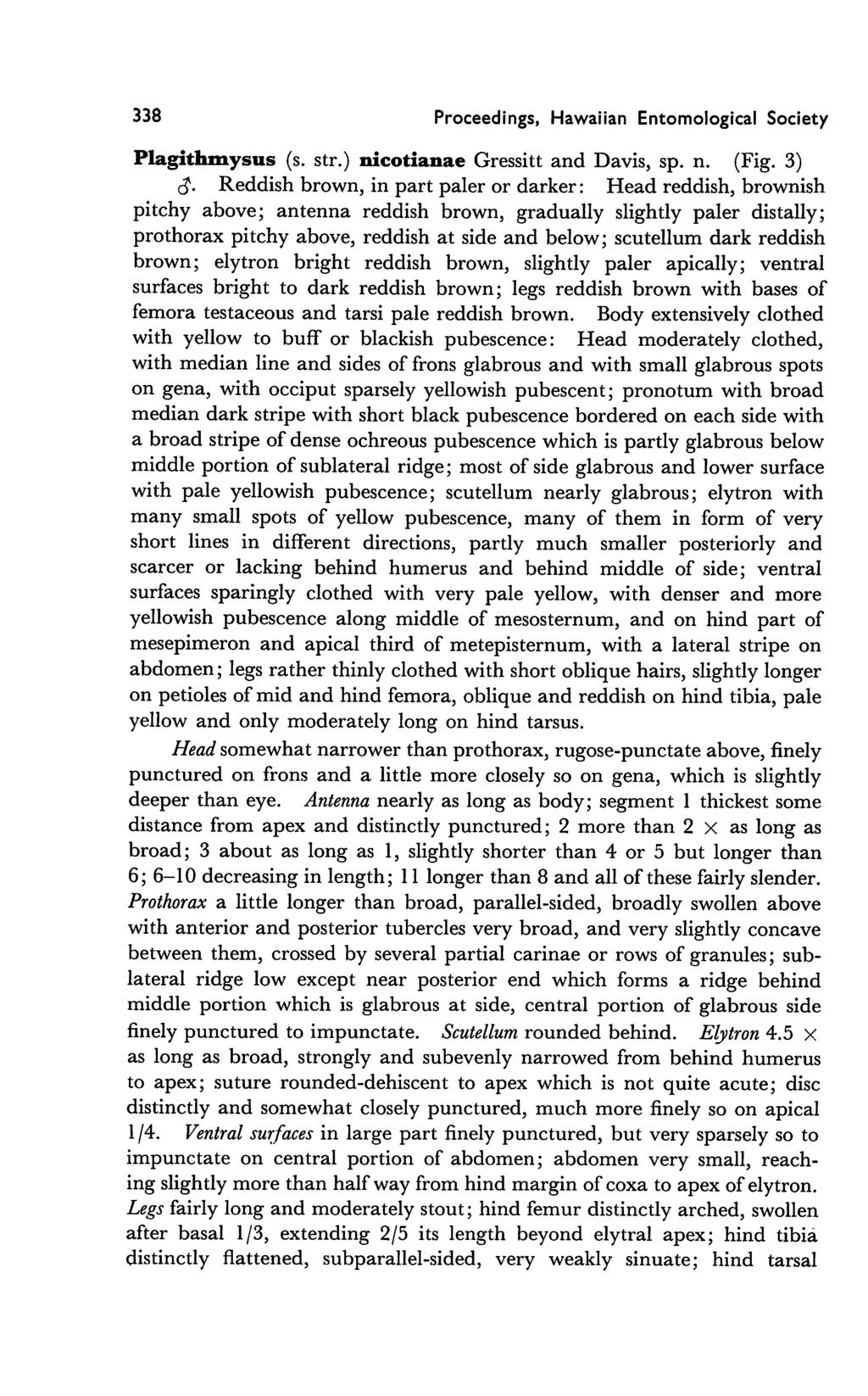 338 Proceedings, Hawaiian Entomological Society Plagithmysus (s. str.) nicotianae Gressitt and Davis, sp. n. (Fig. 3) cj.