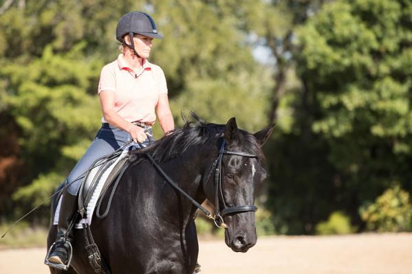 Match the energy stronger for extroverts, softer for introverts Some people ride the same way no matter what the horse is doing, but the secret is to match your energy of that of your horse.