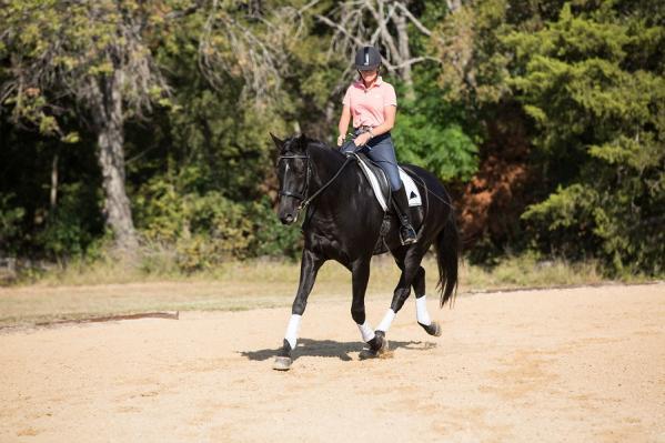 and everyone is happier. Just remember to stop the tapping the moment you feel your horse try to put in effort. Pressure motivates, release teaches. Thunk-Thunk is perfect for Left-Brain Introverts.