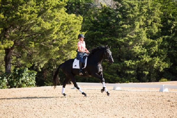 The first goal is to perfectly match your horse s way of going when he starts to trot.
