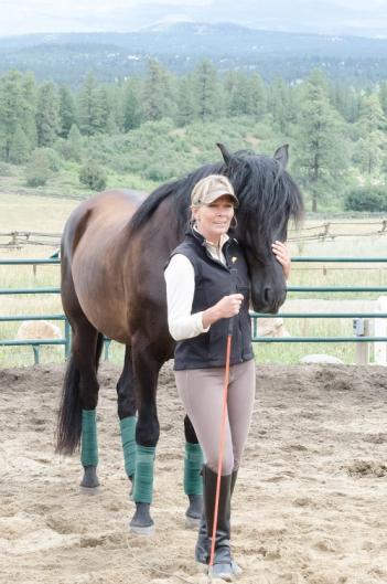 The next goal is to find the right speed for your horse, where he ll use his whole body instead of just moving his legs while tensing his back and neck.