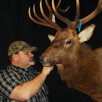 Paul is a multi award winning Taxidermist and well rounded in the field of waterfowl and upland birds.