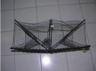 Harvest and management of mangrove crab 131 Sampling locations In the preliminary study, we found that crab trap measuring 80x60x25 cm brought from Japan can catch mangrove crab very efficiently and