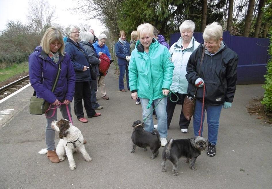 Hello and Welcome Shirehampton Walkie -Talkies Level 3 Walking Groups summer programme in association with LinkAge and Walking for Health Bristol Partnership.