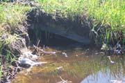 Drainage Drainage issues can impact safety by