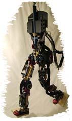 designs with high gear ratios This biped was built to study powered walking based on passive dynamic principles [] The biped walks on a boom so that it essentially possesses D dynamics A previous