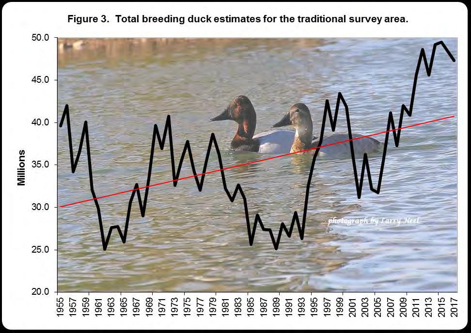 For the traditional survey area, many species showed stable numbers compared to the previous year, and, most are still above the long term average (Table 5). Table 5.