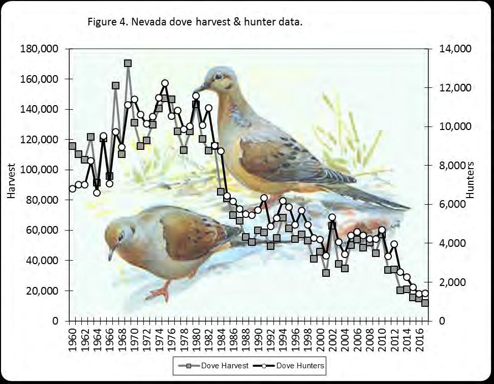 White-winged Dove For the 2017 season, 527 individual questionnaire respondents indicated that they hunted upland migratory game birds other than waterfowl.