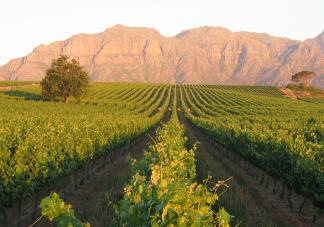 Nestled among vineyards and with views over the Stellenbosch Mountains and De Zalze Golf Course, the 4-star Kleine Zalze Lodge offers visitors comfortable accommodation in true Winelands style.