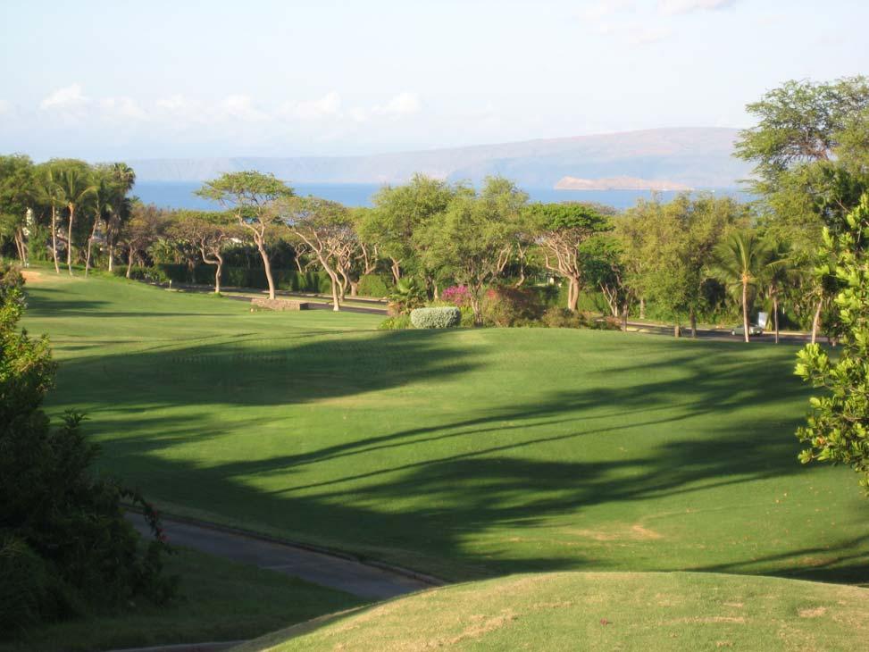 7 #13 at the Old Wailea Blue