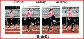 12 Figure 2. A sagittal plane phase analysis of A-drills. B-drills, which also follow the march, skip, and run progression, are similar to the A- drills (Figure 3).