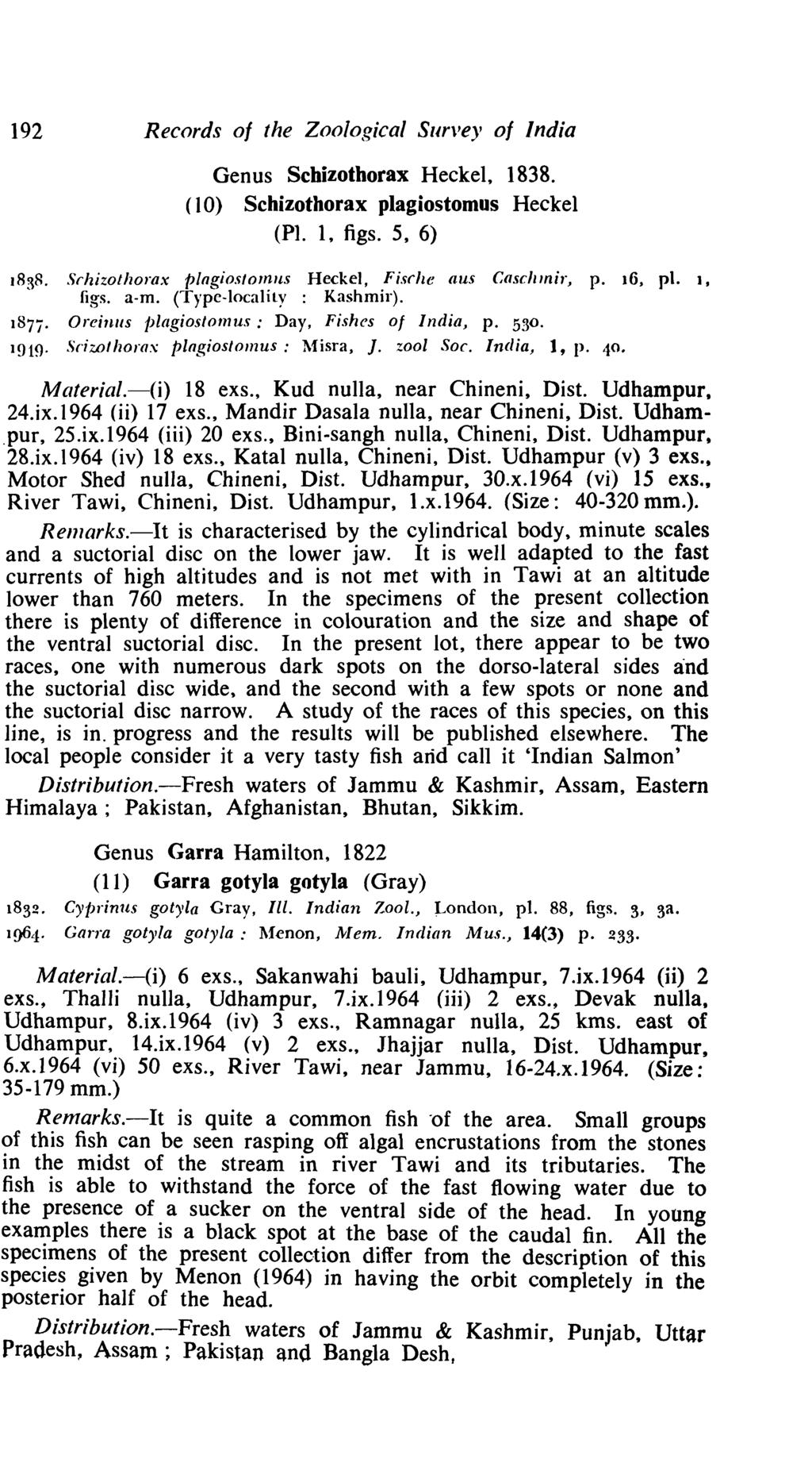 192 Records of the Zoological Survey 0/ India Genus Schizothorax Heckel, 1838. ( 10) Schizothorax plagiostomus Heckel (Pl. 1, figs. 5, 6) 1838.