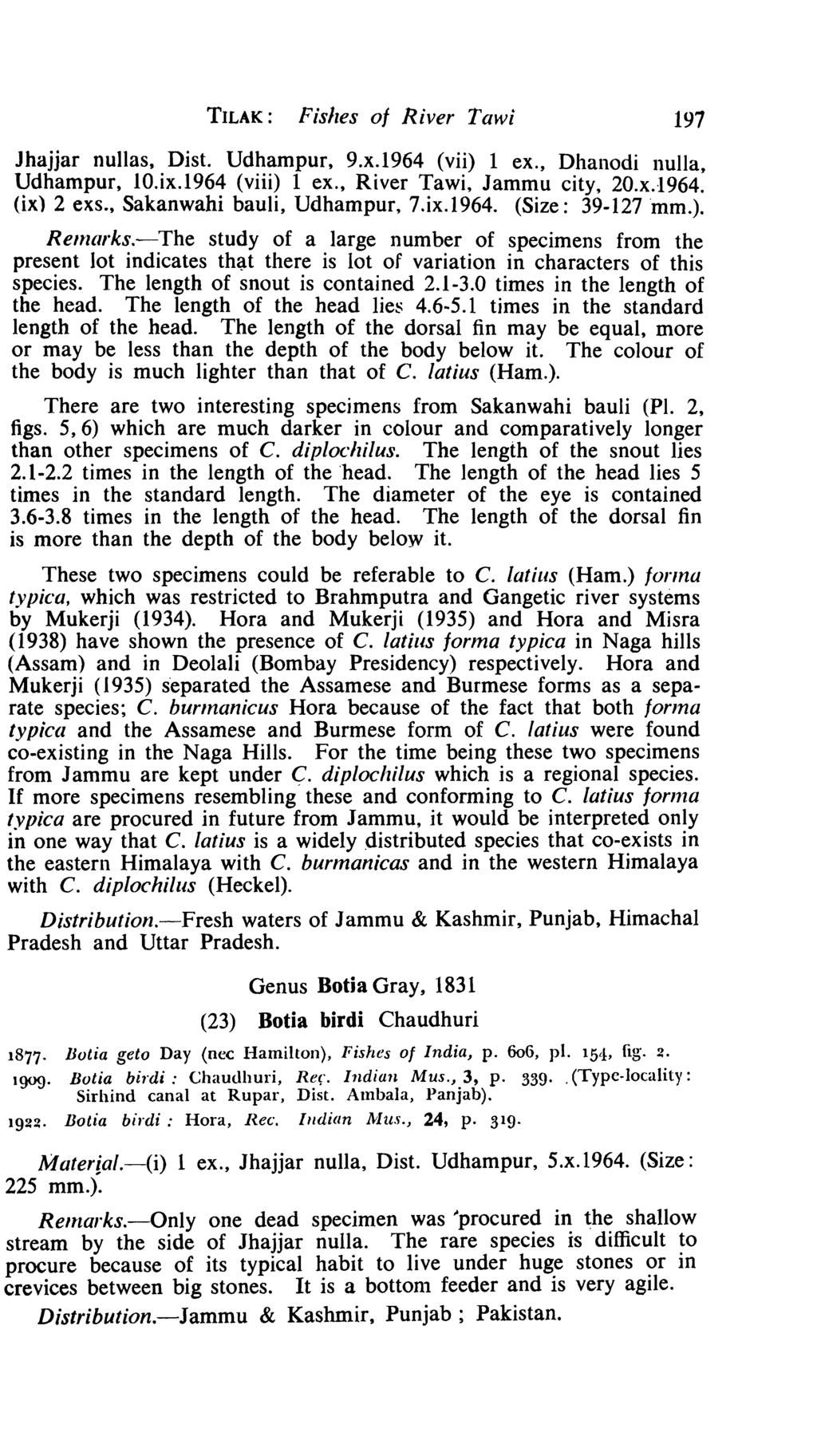 TILAK: Fishes of River Taw; 197 Jhajjar nullas, Dist. Udhampur, 9.x.1964 (vii) 1 ex., Dhanodi nulla, Udhampur, 10.ix.1964 (viii) 1 ex., River Tawi, Jammu city, 20.x.1964. (ix) 2 exs.