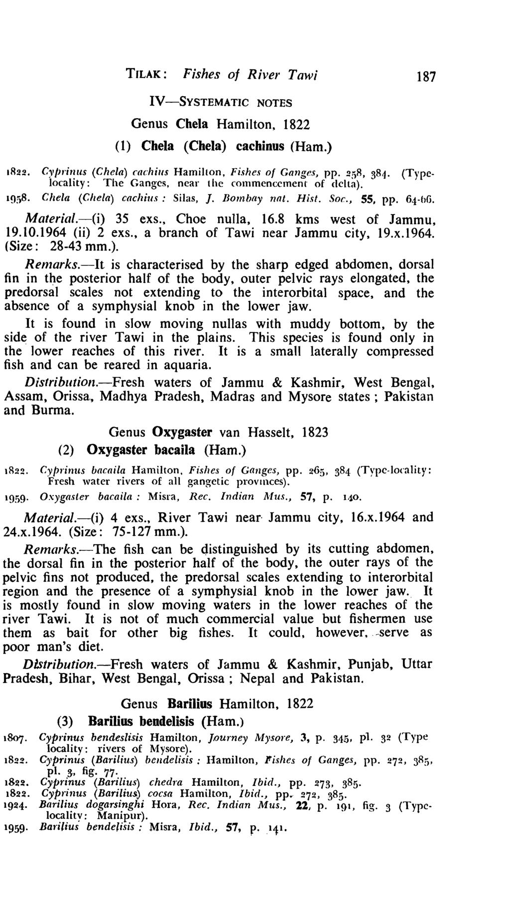 TILAK: Fishes of River Taw; 187 IV-SYSTEMATIC NOTES Genus Chela Hamilton, 1822 (1) Chela (Chela) cachinus (Ham.) 1822. C"/Jrillus (Chela) cachills Hamilton, Fishes of Ganges, pp. 2!'l8, 384.