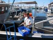 Fisheries Management &