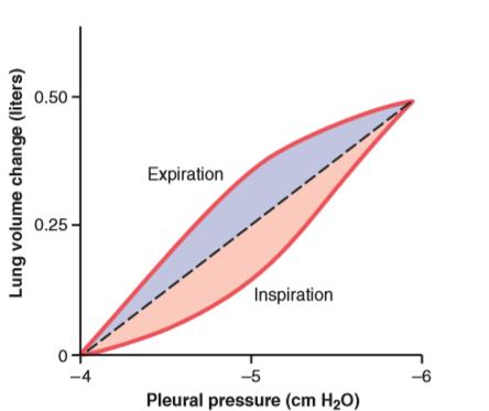 Hysteresis: "deficiency" or "lagging behind" At any given pressure, the volume on the descending limb of the pressure-volume curve exceeds that obtained while the lung was being expanded.