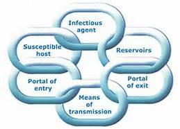Starts with someone with an infection (infectious agent and reservoir) The infectious pathogen leaves the infected person s body (portal of exit) The infectious pathogen reaches