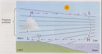 Small Scale Circulations: Land/Sea Breezes Solar heating raises land temperature more than water Air