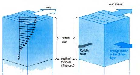 moving water to the right (in the NH) Friction directly opposes motion Resulting current at the surface