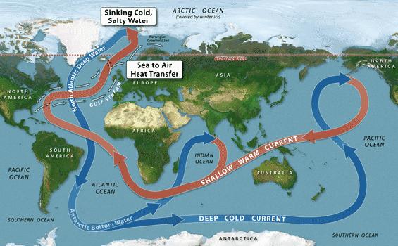 Thermohaline Circulation So, the winds move the ocean Why are there winds?