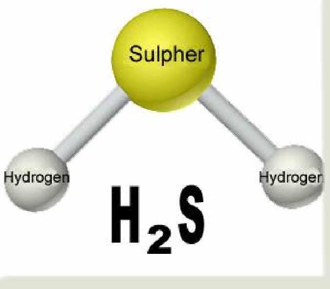 Where does H 2 S come from? H 2 S is formed in the process of the natural decomposition of organic matter. This is the reason that it shows up in many different locations.