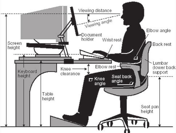 used to put the knees higher than the Those who work for longer hours on the computer must place the computer screen exactly at eye-level.
