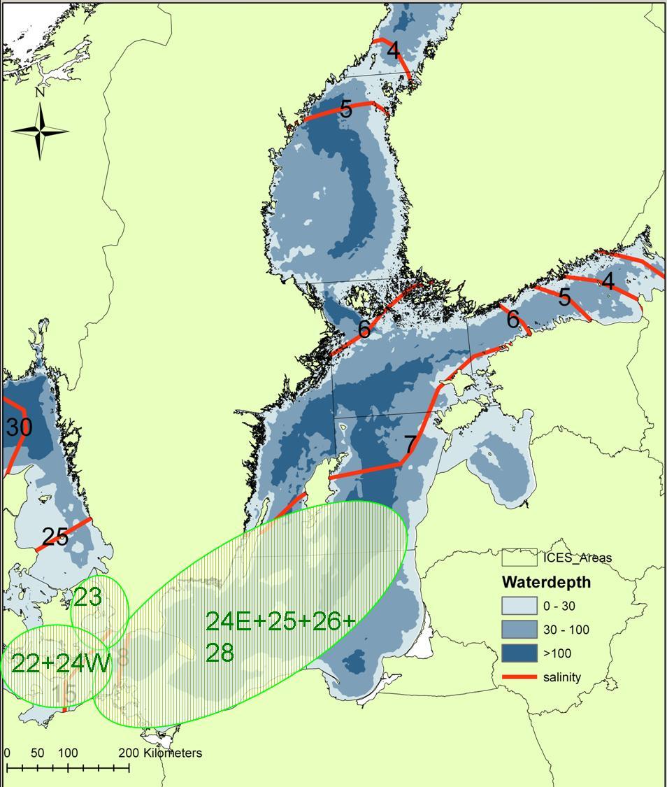 ICES WKFLABA REPORT 5 Figure.3.3.1. Approximate location of three identified stocks of plaice in the Baltic Sea. Numbers within circles refers to ICES SD. 3.
