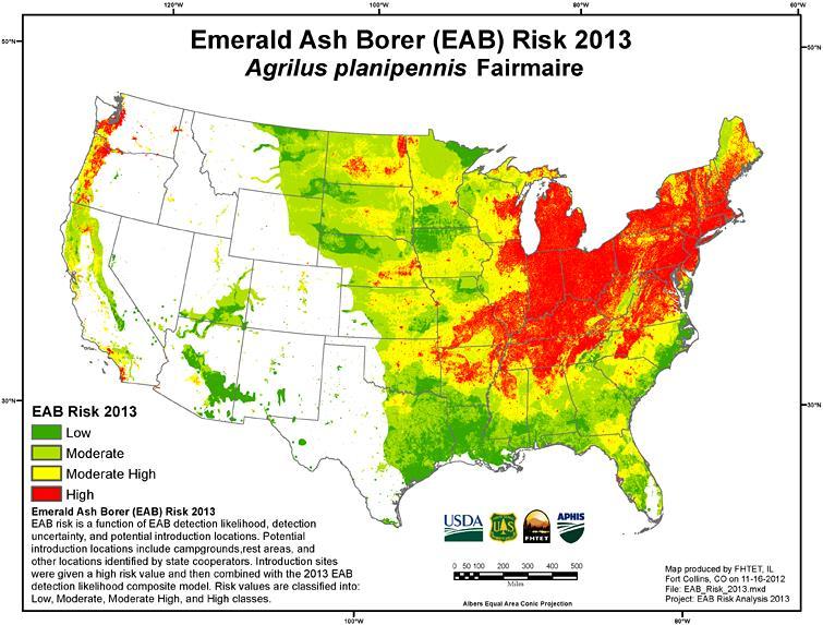 ") The Emerald Ash Borer (EAB), originally from eastern Russia, northern China, Japan, and Korea, is an insect that had never been observed in North America before June of 2002.