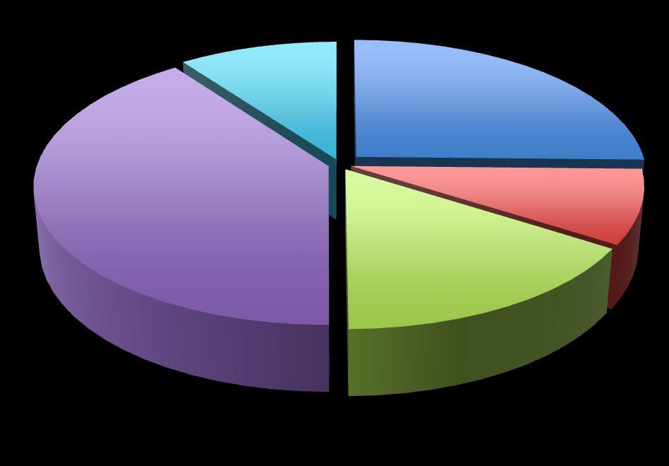 Category Distribution of Visitor Spending Transportation accounts for the largest share of tourism spend. Combined with Accommodation, these components represent 65% of visitor expenditures.