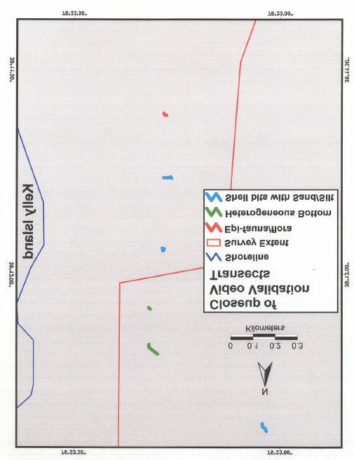 Figure 3-17. Close up of video validation transects conducted near Kelly Island (the green box boundary shown in Figure 3-16).