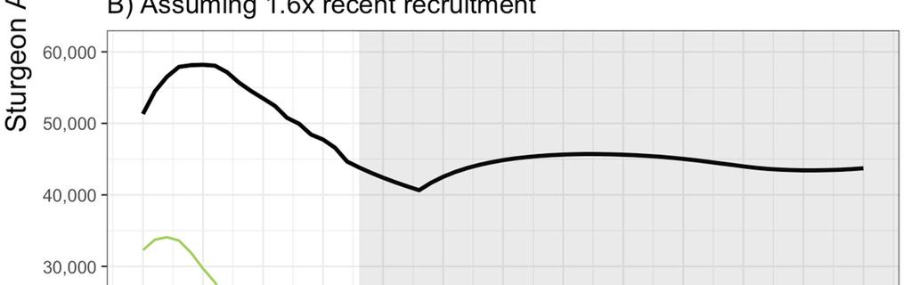 recruitment remains the same as recent estimates (i.