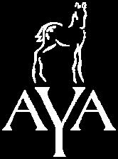 of Directors The AYA is now accepting Declarations of Candidacy.