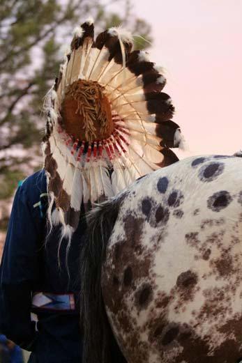 event, your Appaloosa s positive (N/H or H/H) HYPP test results must be documented through the ApHC by DNA testing from a sample that has also been tested to verify parentage.