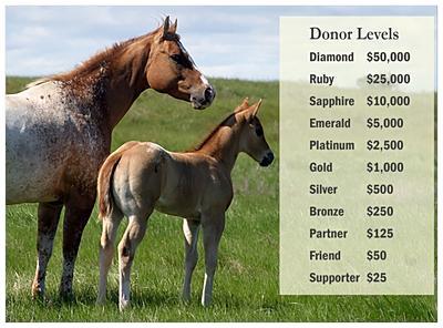 register the foal for the $30 member fee. The registration fee for pedigreed geldings is only $60 regardless of age.
