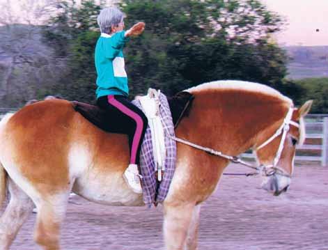 seat, better harmony and contact with the horse, and are safer riders than those who have never been taught vaulting skills.