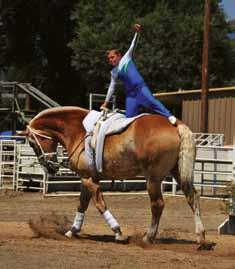 Vaulting is both a recreational activity and an elite level sport, can be done individually or on a team and is for both males and females of all ages. Now that s a mouthful. But all true.