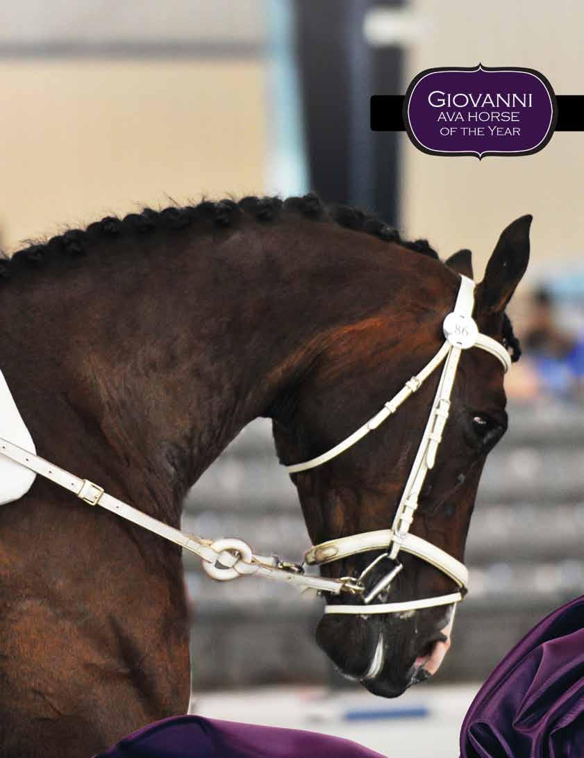 2009 AVA Horse of the Year!