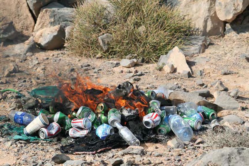 burn the rubbish In Wadi