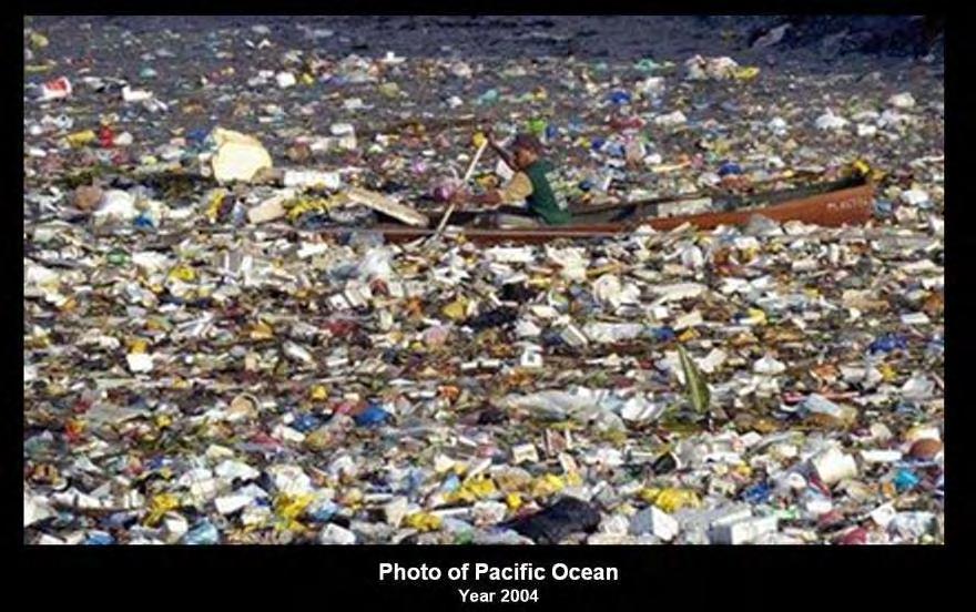 A plastic carpet, 3 times the size of the USA, covers the Pacific Ocean and kills annually 1 million