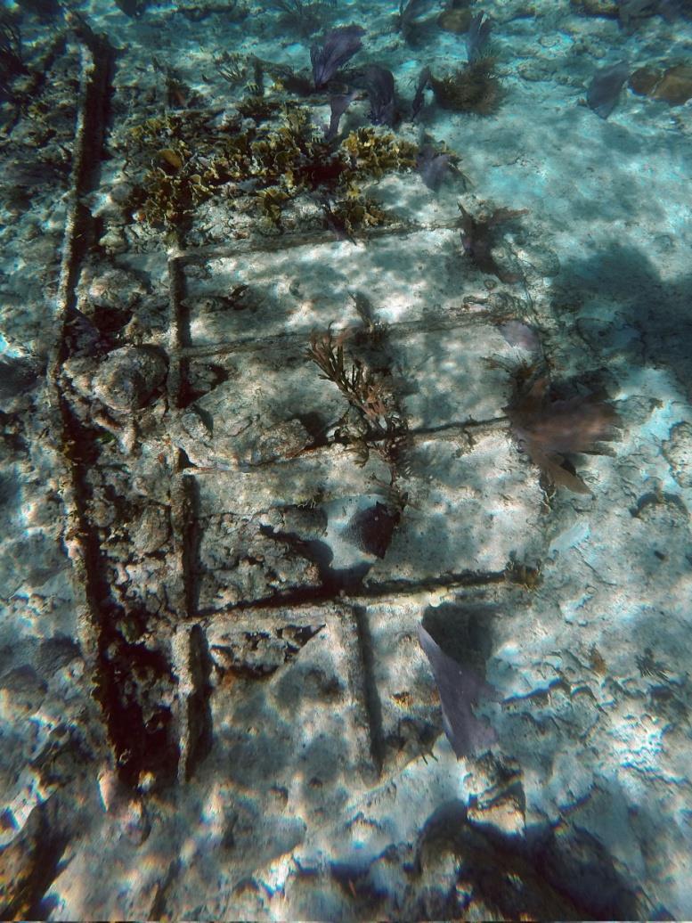metal wreck, such as this