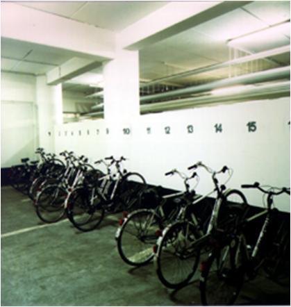 and cycle promotion (schools,