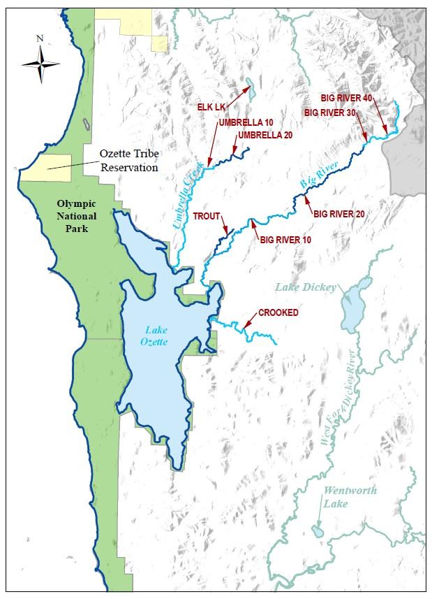 The Ozette System The Ozette watershed is made up of several lakes and large streams that combine to a total drainage area of 88.4 square miles.