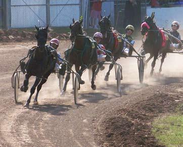 Wisconsin Trotter & Pacer of the Year Points are accumulated throughout the summer at all Wisconsin race meets and fairs.